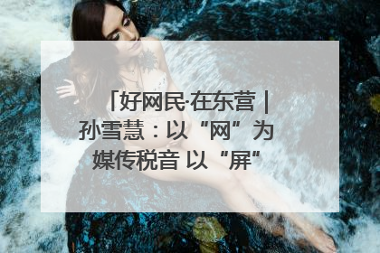 好网民·在东营｜孙雪慧：以“网”为媒传税音 以“屏”为介助发展