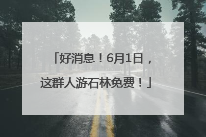 好消息！6月1日，这群人游石林免费！