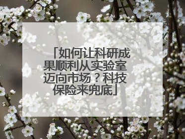 如何让科研成果顺利从实验室迈向市场？科技保险来兜底