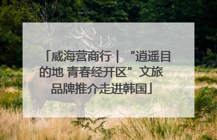 威海营商行｜“逍遥目的地 青春经开区”文旅品牌推介走进韩国