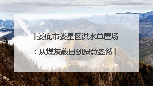 娄底市娄星区洪水单屋场：从煤灰蔽日到绿意盎然