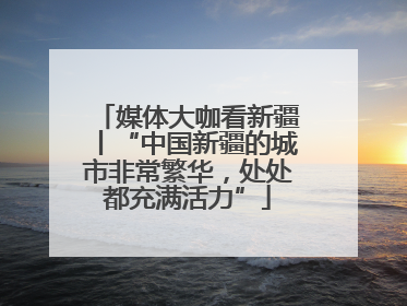 媒体大咖看新疆丨“中国新疆的城市非常繁华，处处都充满活力”