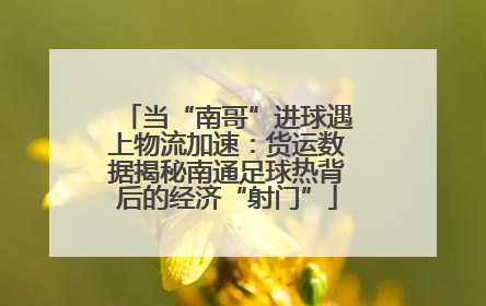 当“南哥”进球遇上物流加速：货运数据揭秘南通足球热背后的经济“射门”