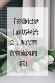 影像记录｜廊坊经洽会，现代商贸物流风向标