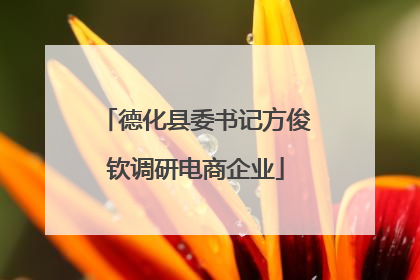 德化县委书记方俊钦调研电商企业