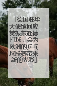 德国驻华大使馆回应樊振东赴德打球：会为欧洲的乒乓球联赛带来新的光彩