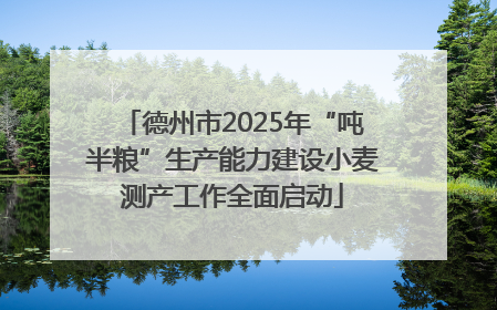 德州市2025年“吨半粮”生产能力建设小麦测产工作全面启动