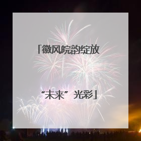 徽风皖韵绽放“未来”光彩