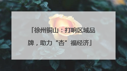徐州铜山：打响区域品牌，助力“杏”福经济