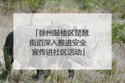 徐州鼓楼区琵琶街道深入推进安全宣传进社区活动