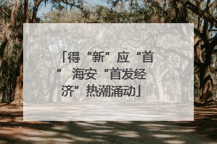 得“新”应“首” 海安“首发经济”热潮涌动