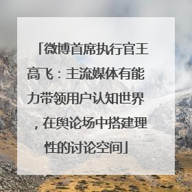 微博首席执行官王高飞：主流媒体有能力带领用户认知世界，在舆论场中搭建理性的讨论空间