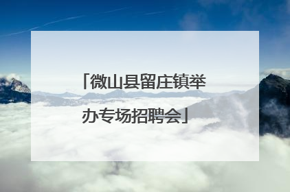 微山县留庄镇举办专场招聘会