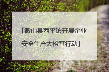 微山县西平镇开展企业安全生产大检查行动