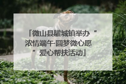 微山县驩城镇举办“浓情端午·圆梦微心愿”爱心帮扶活动