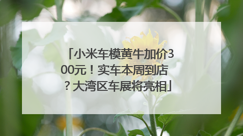 小米车模黄牛加价300元！实车本周到店？大湾区车展将亮相