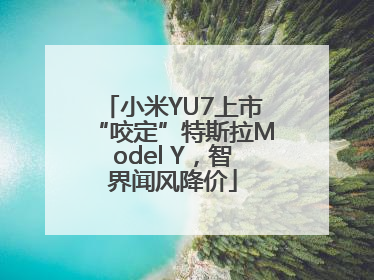 小米YU7上市“咬定”特斯拉Model Y，智界闻风降价