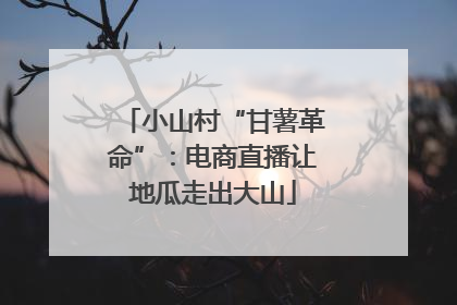 小山村“甘薯革命”：电商直播让地瓜走出大山