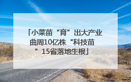 小菜苗“育”出大产业 曲周10亿株“科技苗”15省落地生根