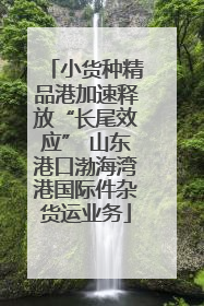 小货种精品港加速释放“长尾效应” 山东港口渤海湾港国际件杂货运业务