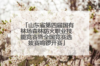 山东省第四届国有林场森林防火职业技能竞赛暨全国竞赛选拔赛鸣锣开赛