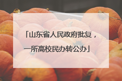 山东省人民政府批复，一所高校民办转公办