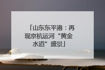 山东东平港：再现京杭运河“黄金水道”盛景