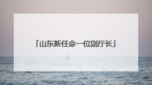 山东新任命一位副厅长