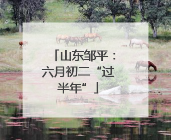 山东邹平：六月初二“过半年”