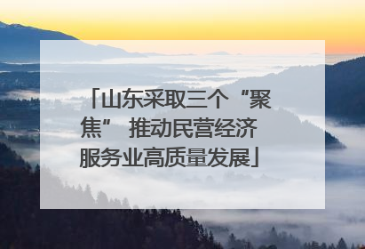 山东采取三个“聚焦” 推动民营经济服务业高质量发展