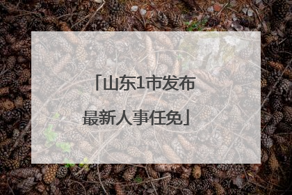 山东1市发布最新人事任免