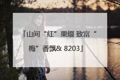 山间“红”果缀 致富“梅”香飘& 8203