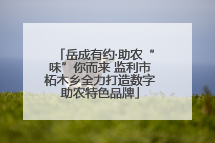 岳成有约·助农“味”你而来 监利市柘木乡全力打造数字助农特色品牌