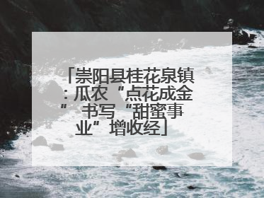 崇阳县桂花泉镇：瓜农“点花成金” 书写“甜蜜事业”增收经