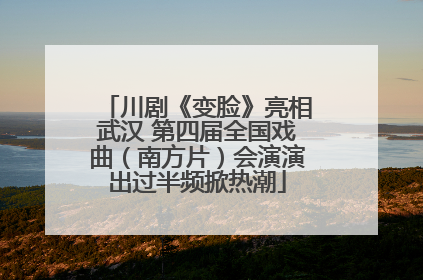 川剧《变脸》亮相武汉 第四届全国戏曲（南方片）会演演出过半频掀热潮