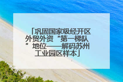 巩固国家级经开区外贸外资“第一梯队”地位——解码苏州工业园区样本