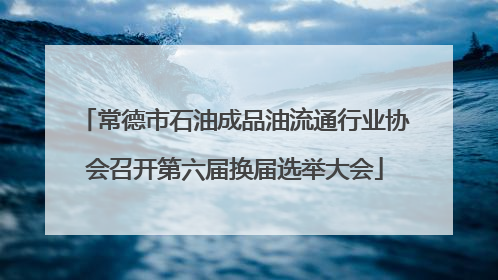 常德市石油成品油流通行业协会召开第六届换届选举大会