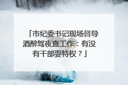 市纪委书记现场督导酒醉驾夜查工作：有没有干部耍特权？