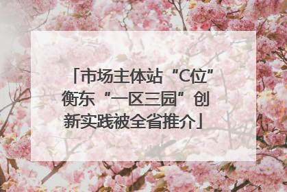 市场主体站“C位” 衡东“一区三园”创新实践被全省推介