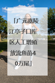 广元嘉陵江亭子口库区人工增殖放流鱼苗40万尾