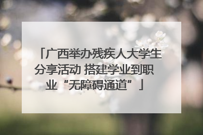 广西举办残疾人大学生分享活动 搭建学业到职业“无障碍通道”