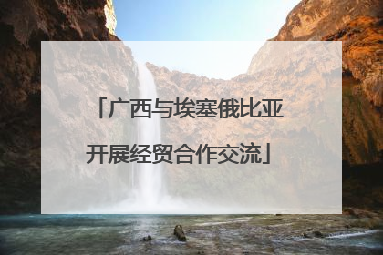 广西与埃塞俄比亚开展经贸合作交流