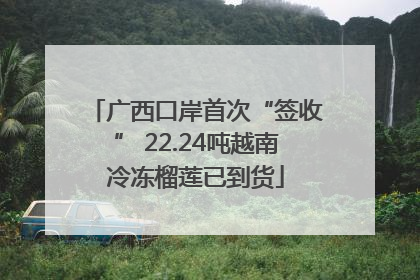 广西口岸首次“签收” 22.24吨越南冷冻榴莲已到货
