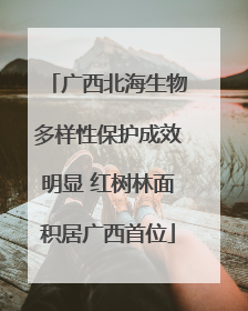 广西北海生物多样性保护成效明显 红树林面积居广西首位