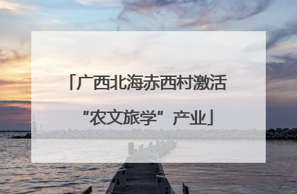 广西北海赤西村激活“农文旅学”产业