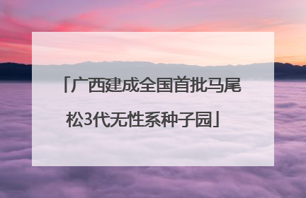 广西建成全国首批马尾松3代无性系种子园