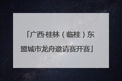 广西·桂林（临桂）东盟城市龙舟邀请赛开赛