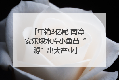 年销3亿尾 南漳安乐堰水库小鱼苗“孵”出大产业