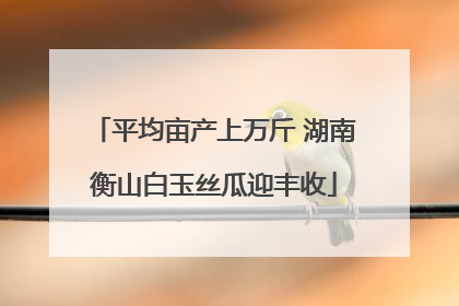 平均亩产上万斤 湖南衡山白玉丝瓜迎丰收