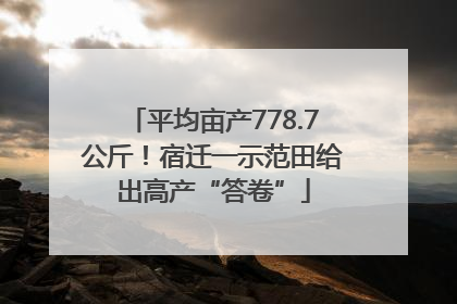 平均亩产778.7公斤！宿迁一示范田给出高产“答卷”